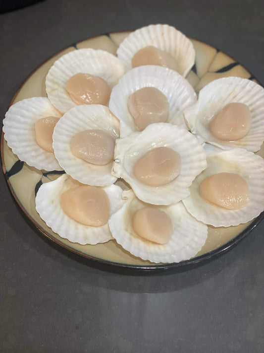 Scallops on half shell