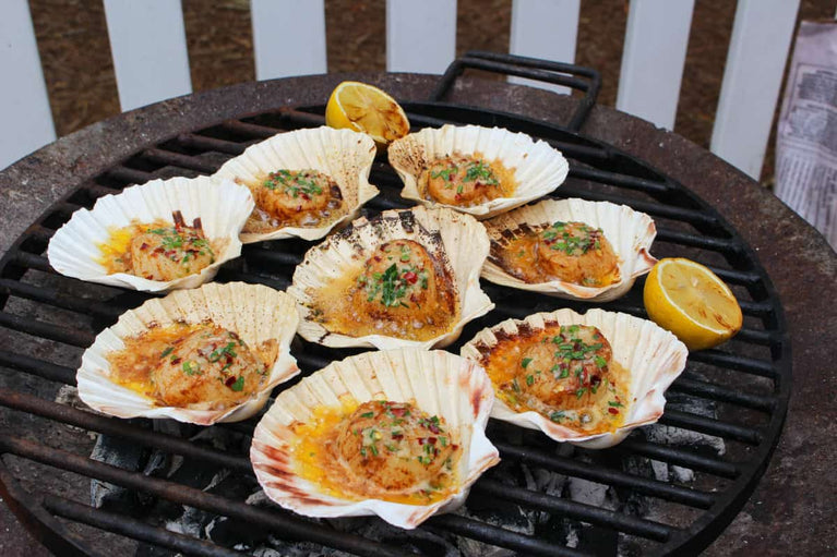 Scallops on half shell
