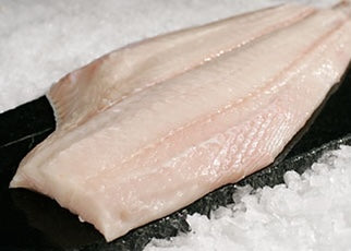 Fresh Halibut Fillet