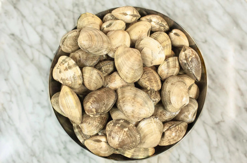 Fresh Vancouver Island Clams