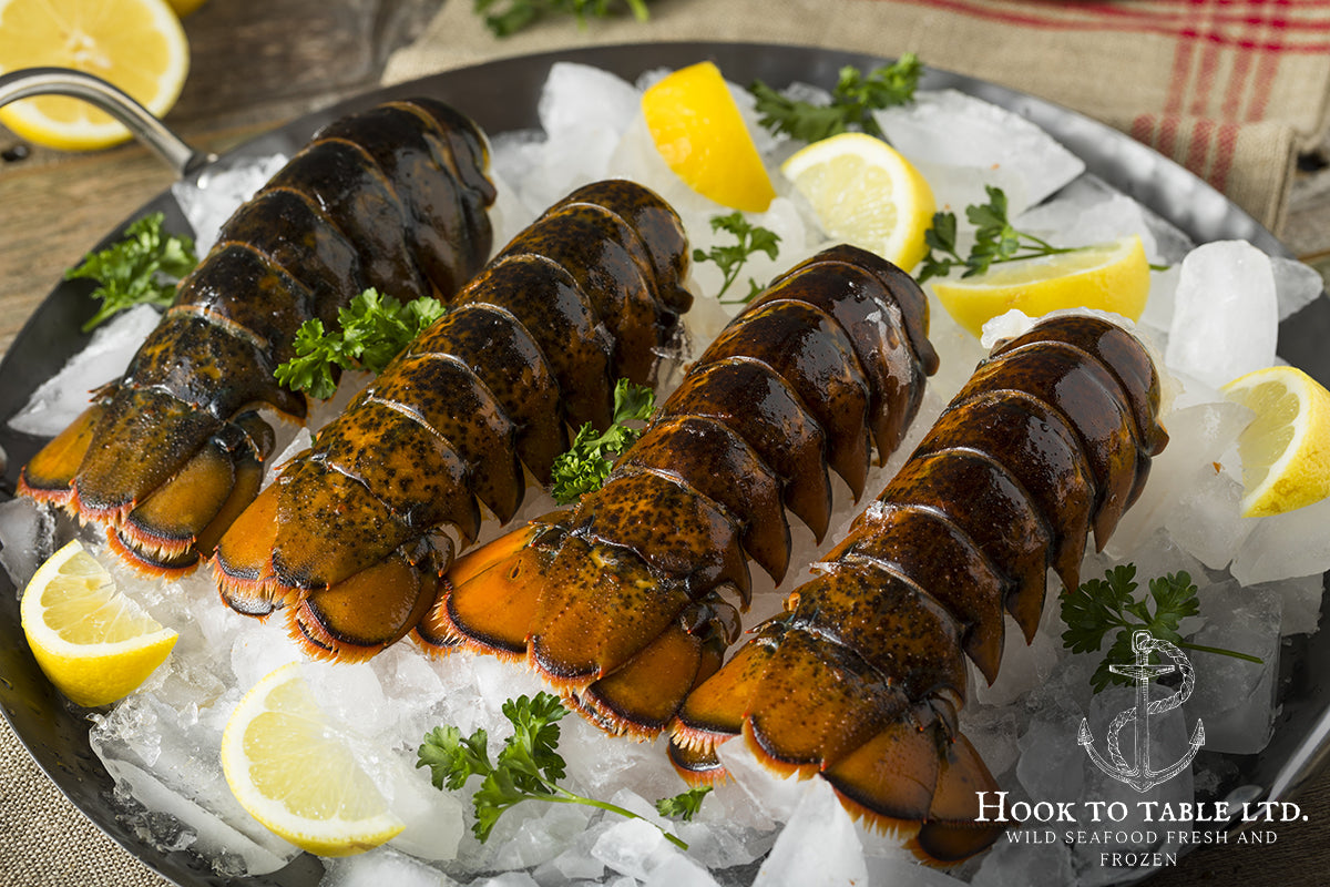 Frozen Canadian Lobster (4-5 oz) per Tail