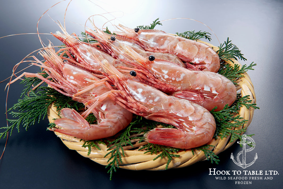 Frozen BC Spot prawns (1 lb tub) (Caught May 24) – Hook To Table Ltd.