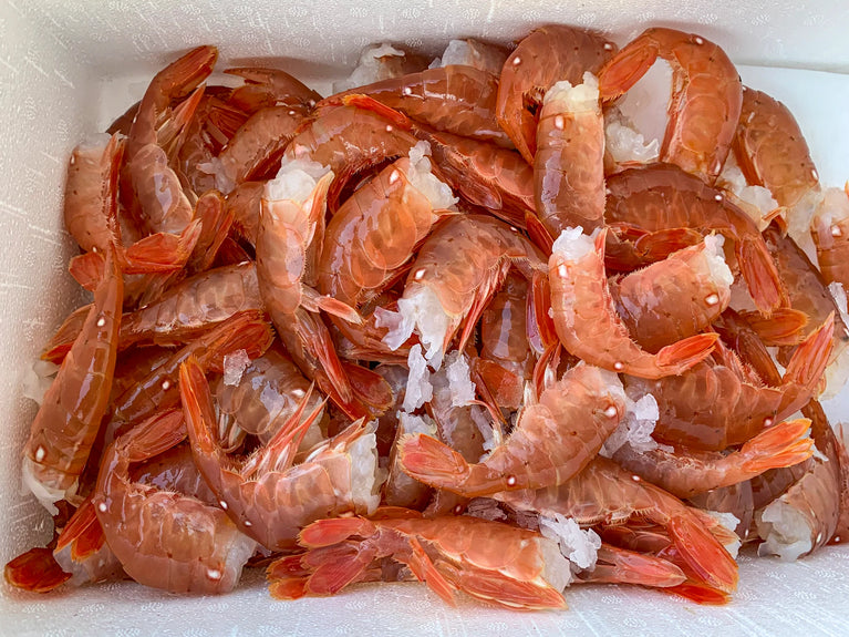 Frozen BC Spot prawns (1 lb tub)