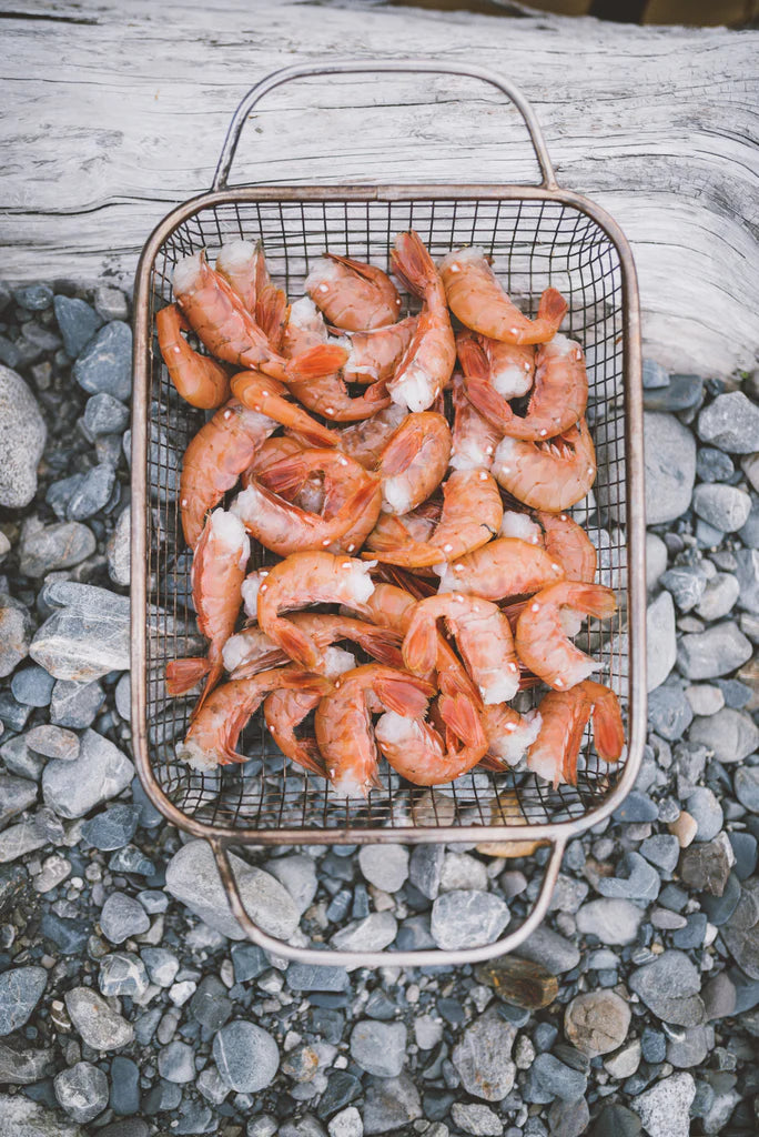 10lb case of 2024 spot prawn tails frozen in sea water